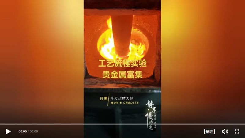 工艺流程实验贵金属富集